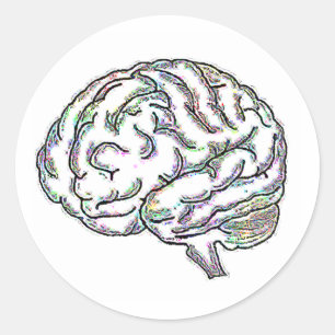 Zany Brainy Ronde Sticker