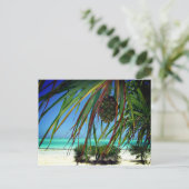 Zanzibar , Africa Briefkaart (Staand voorkant)