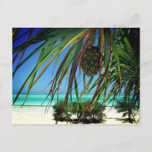 Zanzibar, Afrika Briefkaart