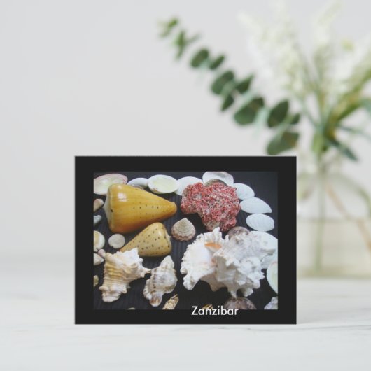 Zanzibar-schelpen Briefkaart (Staand voorkant)