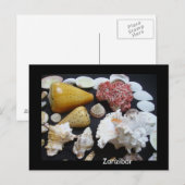 Zanzibar-schelpen Briefkaart (Voorkant / Achterkant)