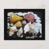 Zanzibar-schelpen Briefkaart (Voorkant)