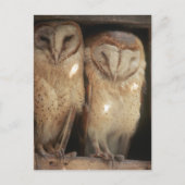 Zanzibar, Tanzania, Oost-Afrika Briefkaart (Voorkant)