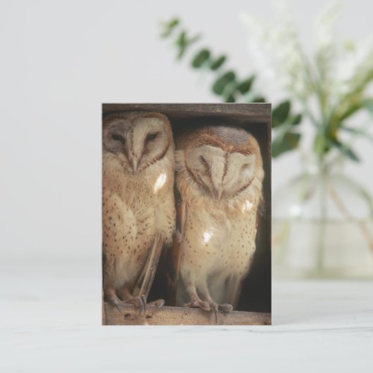 Zanzibar, Tanzania, Oost-Afrika Briefkaart (Staand voorkant)