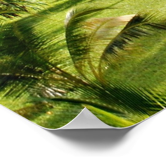 Zanzibar tropisch paradijs poster (Hoek)