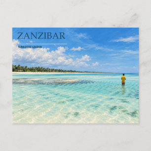 Zanzibar Turquoise Lagoon Palmzoom kust Briefkaart