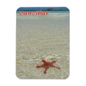 Zanzibar - Zee Uitzicht - Starfish - Magneet (Verticaal)