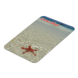 Zanzibar - Zee Uitzicht - Starfish - Magneet