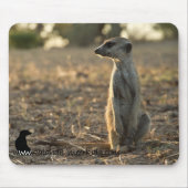 Zaphod 12th Birthday mousepad Muismat (Voorkant)