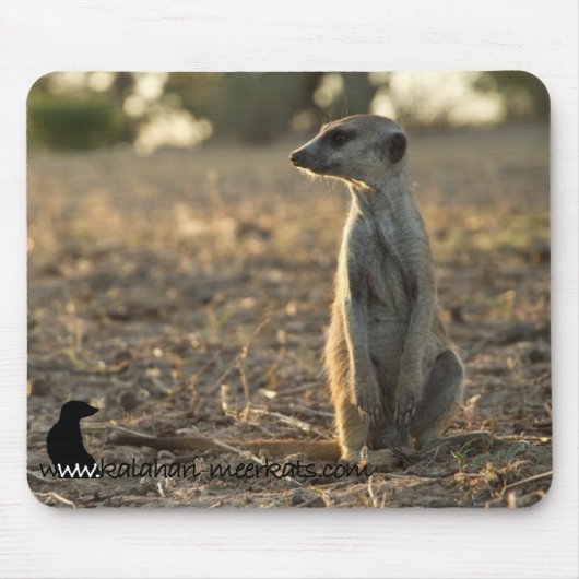 Zaphod 12th Birthday mousepad Muismat (Voorkant)