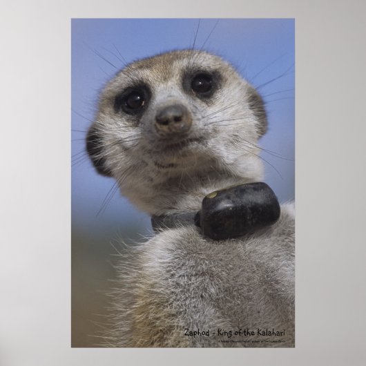 Zaphod - Koning van het Poster van Kalahari (Voorkant)