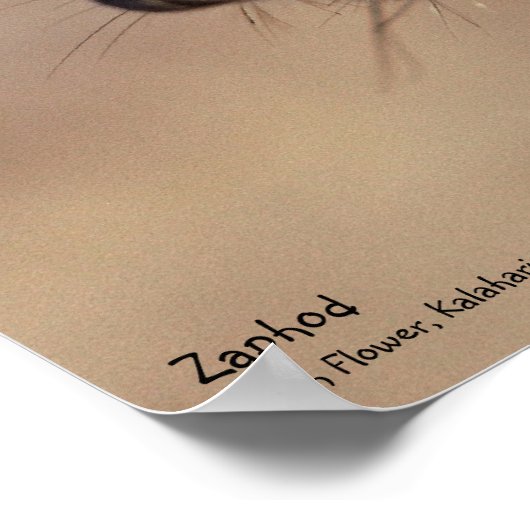 Zaphod Poster - Royal Whiskers Collectie (Hoek)