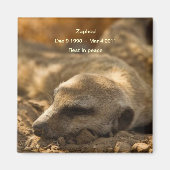 Zaphod_Rust in Vredesmagneet Magneet (Voorkant)