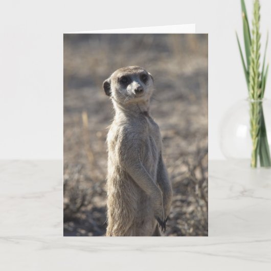 Zaphod's 12e verjaardag Kaart 5 (Voorkant)