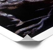 Zar van perziken poster (Hoek)