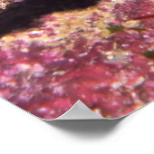 Zardvis II Poster (Hoek)