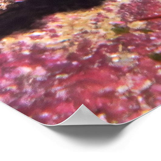 Zardvis II Poster (Hoek)