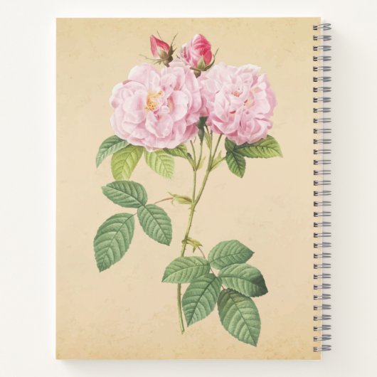 Zarte Frankreich Rose  Notitieboek (Achterkant)