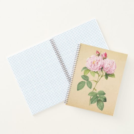 Zarte Frankreich Rose  Notitieboek (Binnen)