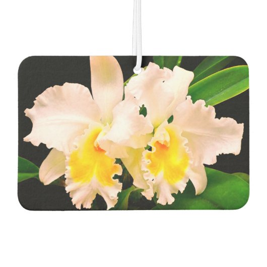 Zarte Orchideen Luchtverfrisser (Voorkant)