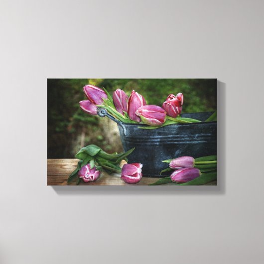 Zarte rosa Tulpen Canvas Afdruk (Voorkant)