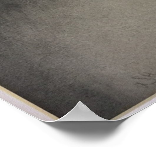 Zatoichi, de blinde zwaardvechter poster (Hoek)