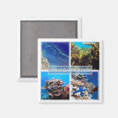 zAU011 DE GROTE BARRIER REEF, Australië, Fridge Magneet (Voorkant / Achterkant)