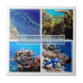 zAU011 THE GREAT BARRIER REEF, Australië, Tegeltje (Voorkant)
