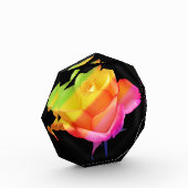 zauberhafte Rose in den Farben des Regenbogens Fotoblokken (Links)