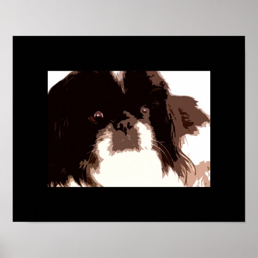 ZaZa Poster (Voorkant)