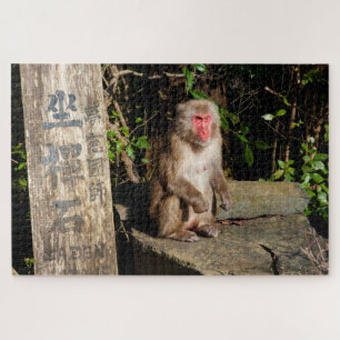 ZaZen Temple Monkey Arashiyama Kyoto Japan Legpuzzel