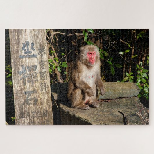 ZaZen Temple Monkey Arashiyama Kyoto Japan Legpuzzel (Horizontaal)