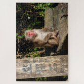 ZaZen Temple Monkey Arashiyama Kyoto Japan Legpuzzel (Verticaal)