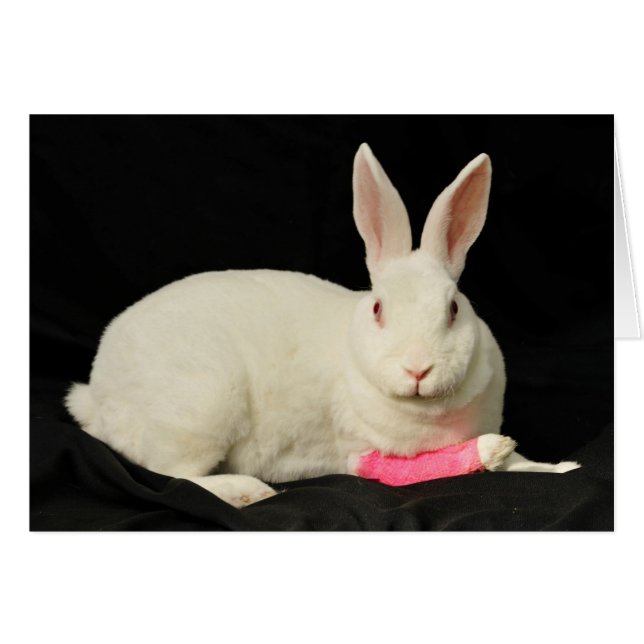 Zazzle (Voorkant Horizontaal)