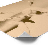 zazzle poster (Hoek)