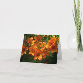 Zazzle Sinaasappel Bloemen Blank Notecard Kaart
