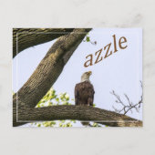 Zazzle Valley Visions Briefkaart (Voorkant)