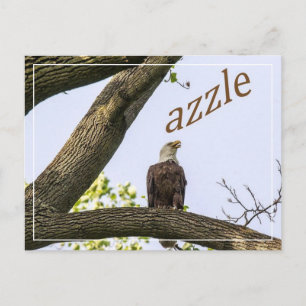Zazzle Valley Visions Briefkaart