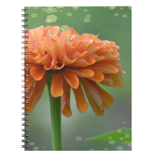Zazzled Zinnia Notitieboek (Voorkant)
