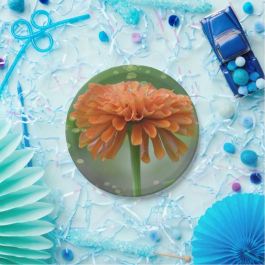 Zazzled Zinnia Paper Bord (Feest)