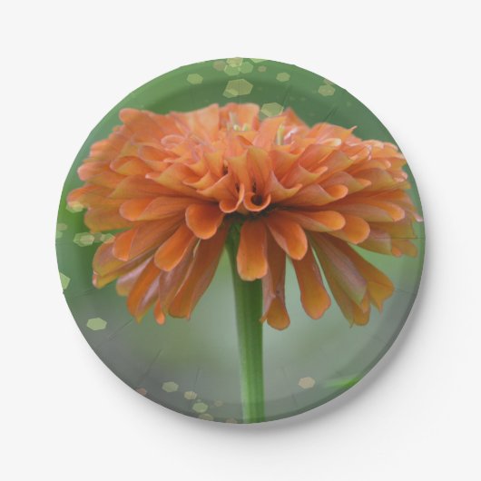 Zazzled Zinnia Paper Bord (Voorkant)
