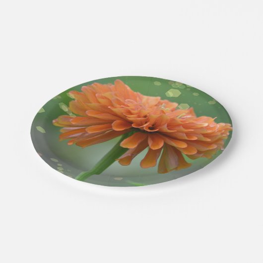 Zazzled Zinnia Paper Bord (Gekanteld)