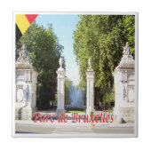 zBE018 BRUSSEL BRUXELLES PARK België Tegeltje (Voorkant)