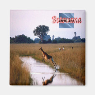 zBW011 BOTSWANA, Flying Vrouw Lechwe, Fridge Magneet