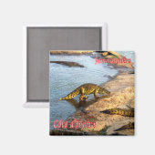 zCI011 YAMOUSSOUKRO, Ivoorkust, Afrika, Fridge Magneet (Voorkant / Achterkant)