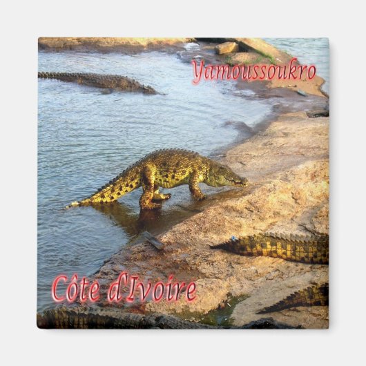 zCI011 YAMOUSSOUKRO, Ivoorkust, Afrika, Fridge Magneet (Voorkant)