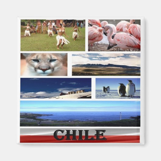 zCL024 CHILE, Mosaic, Amerika, Fridge Magneet (Voorkant)