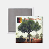 zCM007 WASA N.P. Camerron, Afrika, Fridge Magneet (Voorkant / Achterkant)