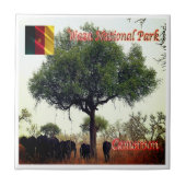zCM007 WASA N.P. Camerron, Afrika, Tegeltje (Voorkant)