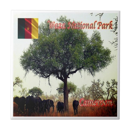 zCM007 WASA N.P. Camerron, Afrika, Tegeltje (Voorkant)